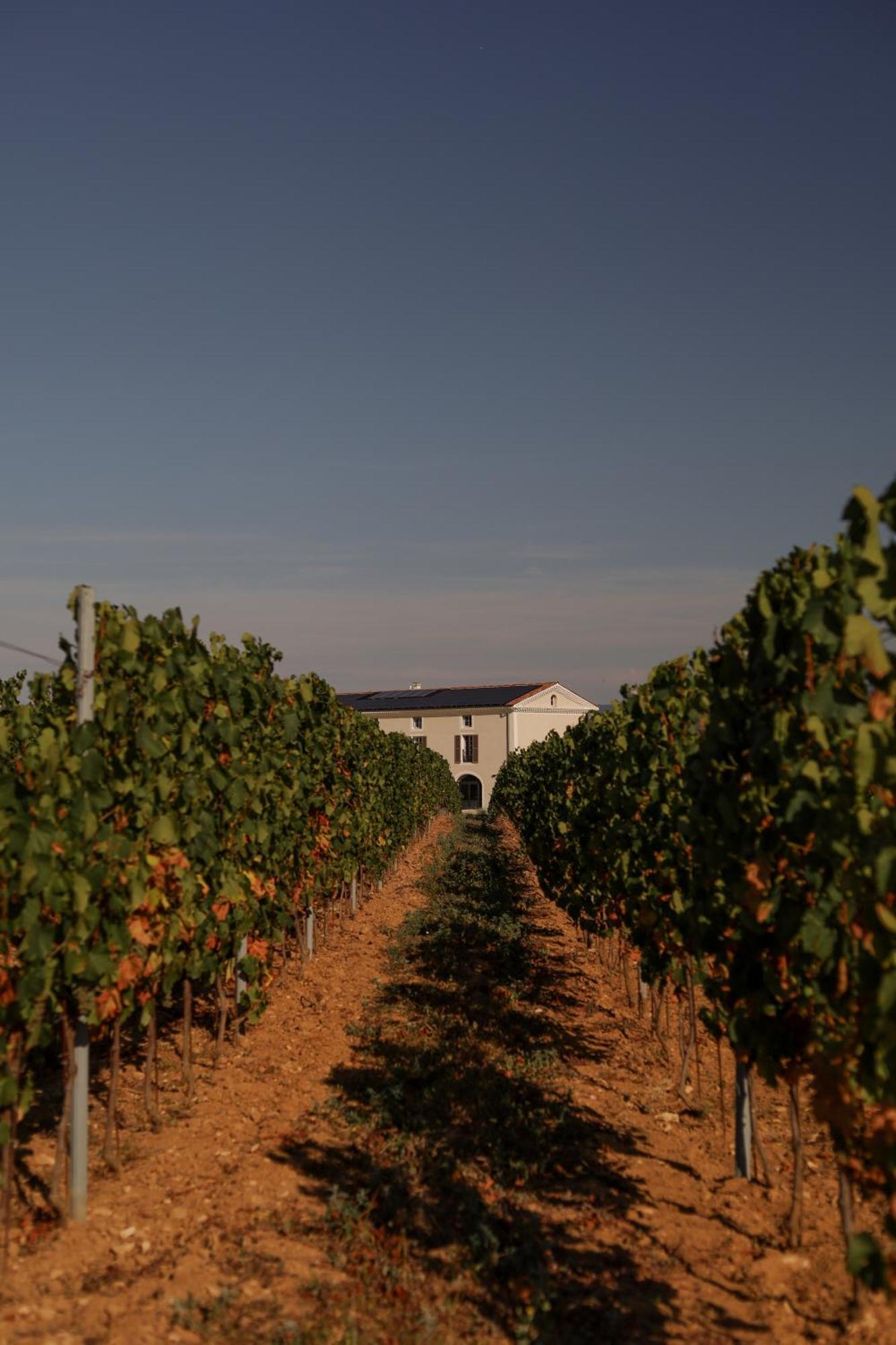 Garenne Livron-sur-Drôme